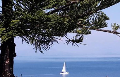 Gina Studios - Foto 22