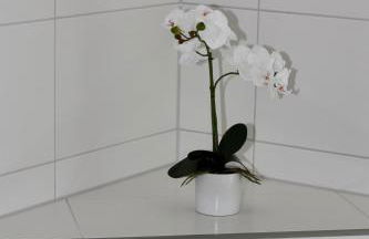 Apartments Alice & Julia - Foto 31