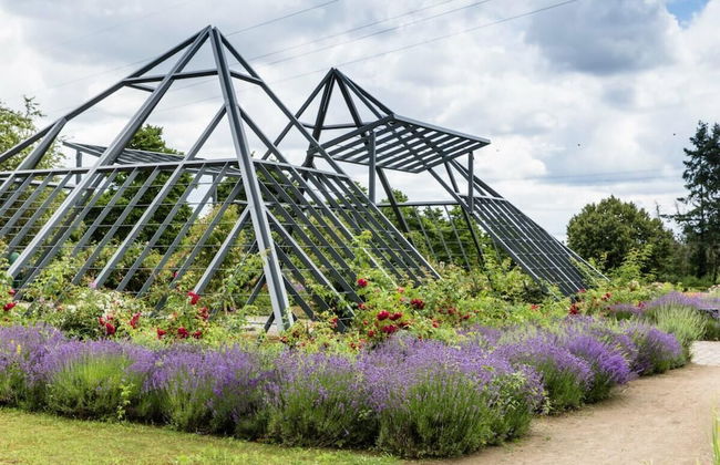 Hotel-Pension zum Hirsch - Foto 55