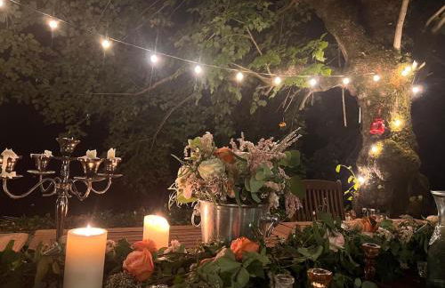 Château du Port Hublé - Foto 51