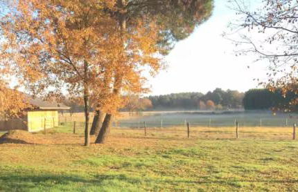 Studio "La Citrie" Terrasse, chevaux et nature - Foto 9