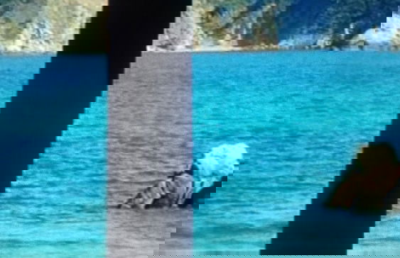 Maisonette Maria - for tranquility. Sykia Chalkidikis - Foto 30