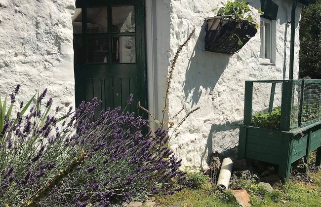 Hapus Yurt - Two Beautiful Yurts and Barn Cottage - Foto 46