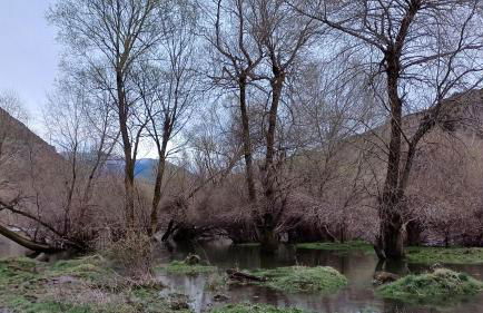 Borén muntanyes i neu - Foto 17