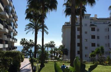 Mi Capricho - Photo 6