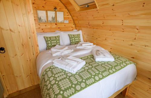 Moel Arthur - Photo 3