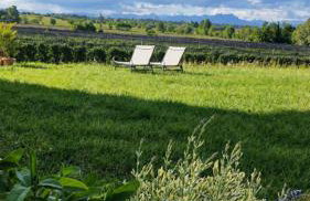Agriturismo il meleto - Foto 24