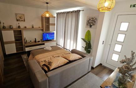 Lower Floor In Flor do Campo - Santana - Foto 14