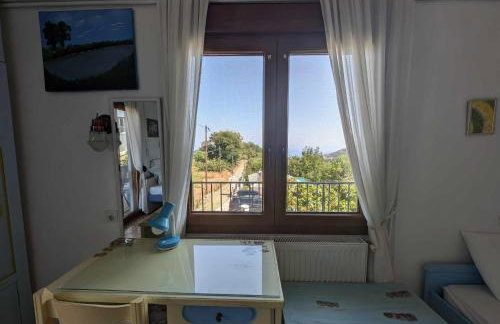 Μπαλκόνι του Αιγαίου/ Aegean balcony - Foto 41