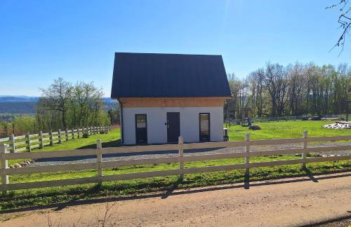 SierPlejs Hill - domki przy szlaku w Górach Sowich - Foto 3