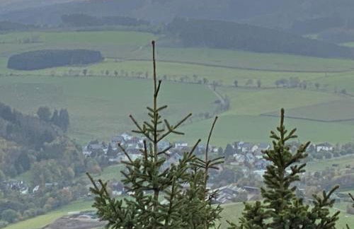 Schönwald Waldchalet am Musenberg - Foto 14