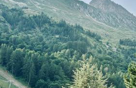 Les Thymels - Foto 39