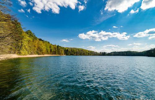 Apartament Forest - Foto 14