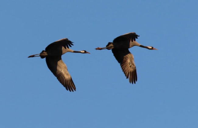 Blick auf Vilm - Foto 31