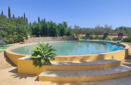 Lo Racó de Peret - Foto 15