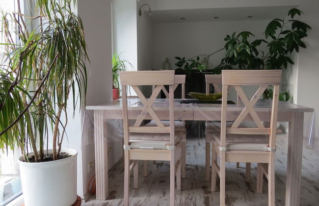 Reiners Alm - Foto 25