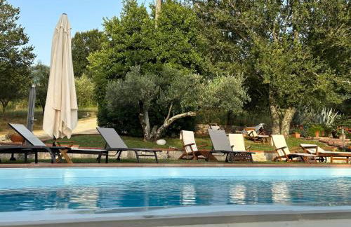 Azienda Agricola Passaro - Photo 7