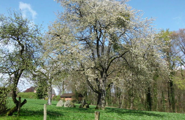 Holiday Home Wollspeicher - Foto 19