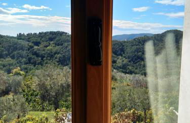 Agriturismo La Burlanda - Foto 29