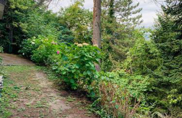 Peaceful Country Living at Apartments at Villa Clara - Foto 47