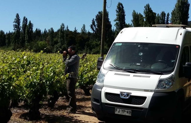 Tour de vinhedos e adegas pelo vale de Itata - Foto 3