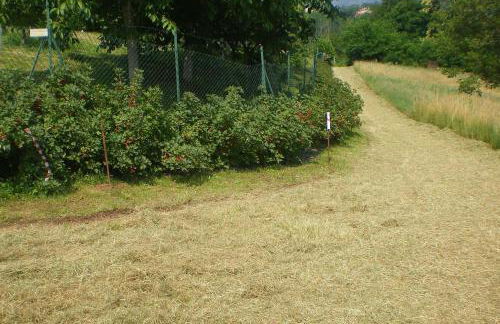 Tenuta Fortelongo - Foto 108