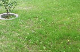 Villa Santo Antonio - Foto 34