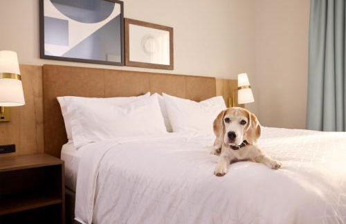 Staybridge Suites Liverpool by IHG - Foto 59