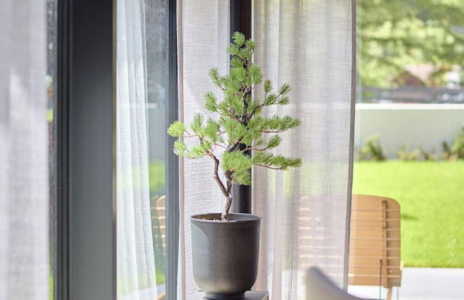 Chalet White Pearl by MYALPS - Foto 21