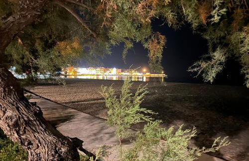 Palermo Houses - Foto 36