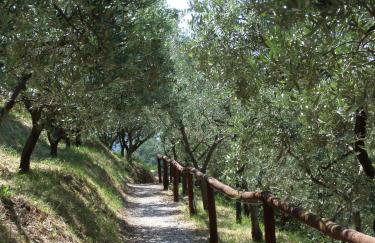 "The Ulivi" inside Le Agavi Private Park, shared Pool and Tennis 200m far, Sea View Apartment 2 AC BDR, 2BTH, parking next home and private garage in Lerici! Cooking Lesson and Wine Tasting - Foto 56