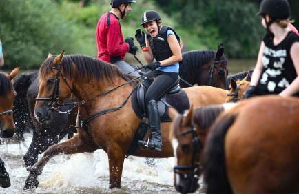 Landgasthof Probstei Zella - Foto 65