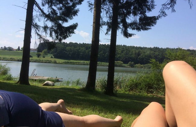 Aurelia - Gut Hornegg - Foto 13