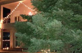 Studio Giannis, a breath away from Athens! - Foto 23