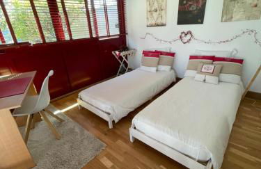 A l'ombre des oliviers - Photo 14