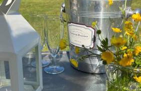 The Potting Shed - Photo 46