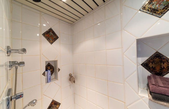 Aubepine Holiday Home in Sart Jalhay - Foto 18