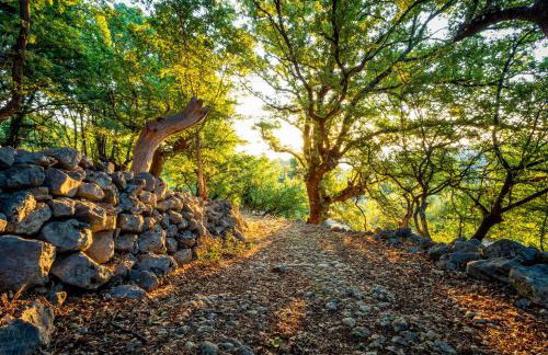 Casa Porozina - Cozy Apartments & Rooms - Paradise Beach 300m - Foto 30