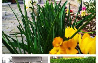 BHH Appartamento Signorini Bologna -wwwbolognaholidayhomecom- Parcheggio Riservato e Giardino - Holiday House Bologna Garden Parking - Foto 34