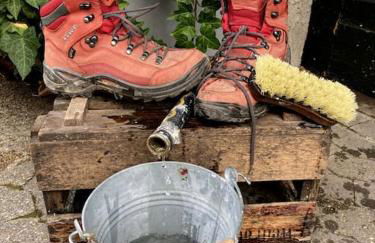 Altes Winzerhaus Lenz - Foto 16