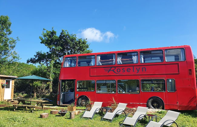 Double Decker Bus on an Alpaca Farm Sleeps 8 - Foto 57