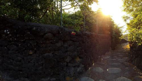 Adega dos Terceira - Photo 3, Other