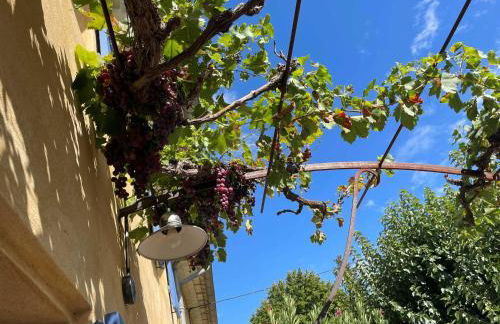 Mas des Lavandes - 3 gîtes de charme au calme avec grande piscine en Drôme-Provençale - Foto 43