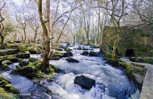 Apartamento con gran terraza - Foto 18