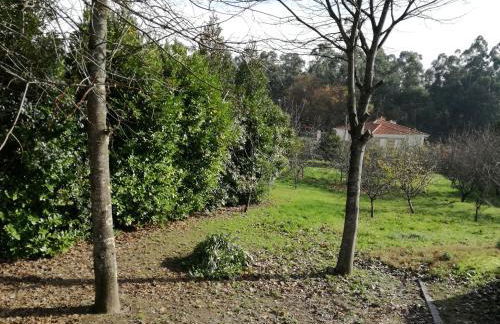 Casa da Costeira - Foto 38