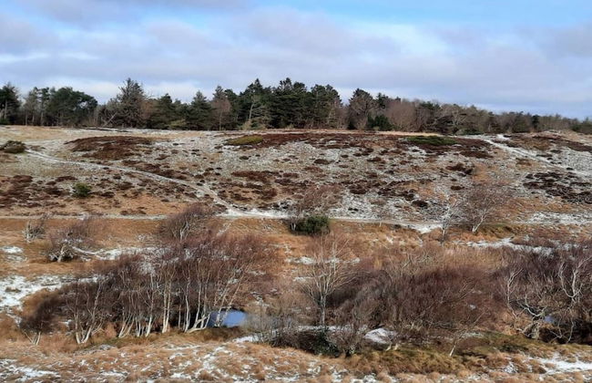 Luxury Villa With Pool - By Traum Ferienwohnungen - Foto 6