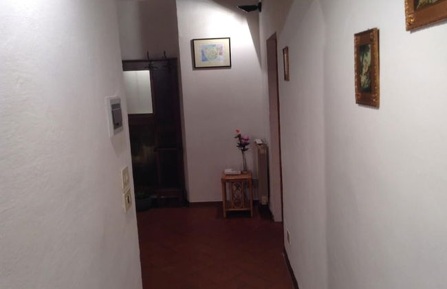 Vellutini Number One - Foto 55