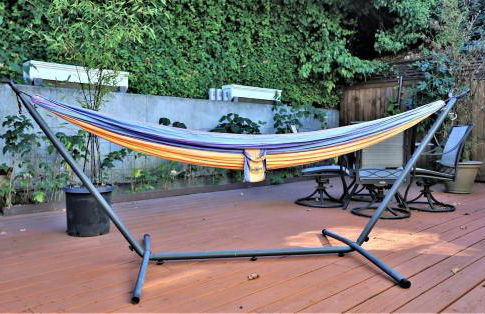 No Car Needed - N Beacon Hill Beauty - Foto 32