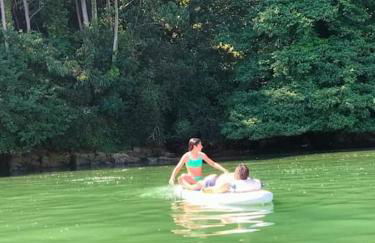 O Cerrulo Apartamento céntrico Pontedeume - Photo 34