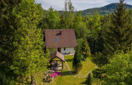 Holiday home in Delnice - Gorski Kotar 43959 - Foto 2